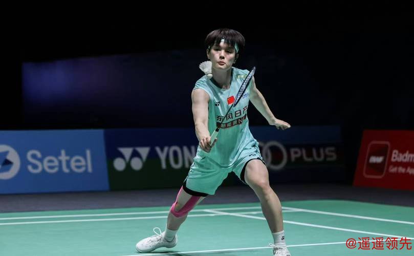 印度羽毛球公开赛：陈雨菲和王祉怡会师半决赛