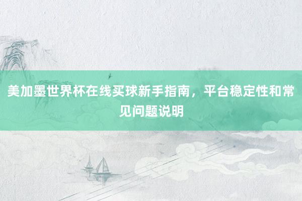 美加墨世界杯在线买球新手指南，平台稳定性和常见问题说明